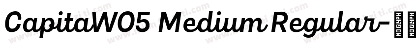 CapitaW05 Medium Regular字体转换